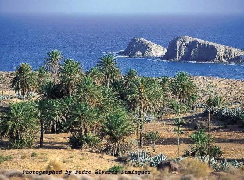 Isleta Del Moro Daniel Leilighet La Isleta del Moro Eksteriør bilde
